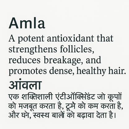 RE:ROOT – Biomimetic Scalp Therapy Oil