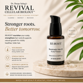 RE:ROOT – Pre-Shampoo Therapy